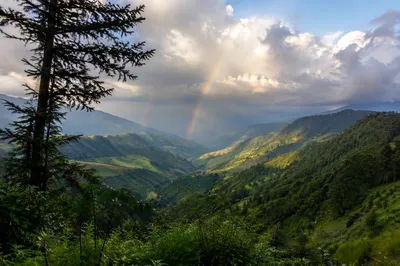 Rainbow Over Renewed Evergreen Mountain Valley