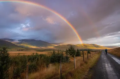Rainbow of Hope Over Evergreen Valley