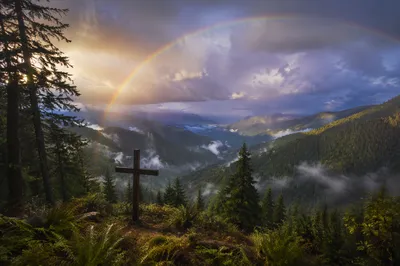 Rainbow Over Storm Washed Evergreen Valley