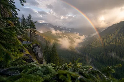 Rainbow Over Storm Washed Evergreen Valley