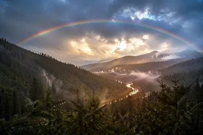 Rainbow Over Misty Evergreen Valley