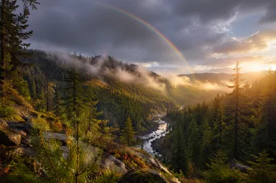 Rainbow Over Evergreen Valley After Storm