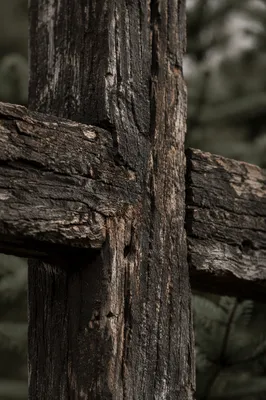 Rugged Wooden Cross Texture with Evergreen