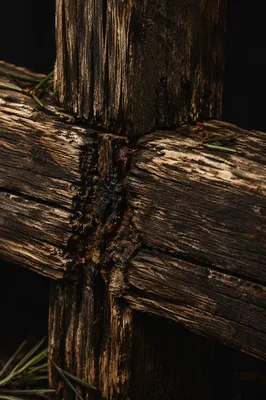 Rugged Wooden Cross Evergreen Macro Texture