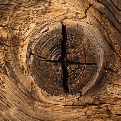 Rugged Cross Shape in Evergreen Wood