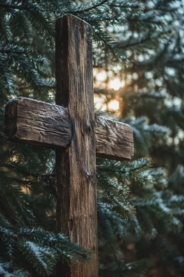 Rugged Wooden Cross Among Evergreen Branches