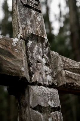 Weathered Wooden Cross in Evergreen Forest