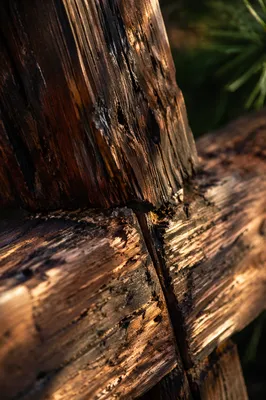 Rugged Wooden Cross Macro Texture