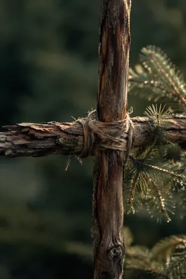 Rugged Cedar Cross in Evergreen Forest