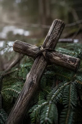 Weathered Wooden Cross Among Evergreen Branches