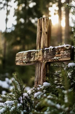 Rugged Wooden Cross in Evergreen Forest