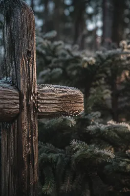 Rugged Cedar Cross with Evergreen Frost
