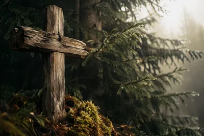 Rugged Wooden Cross in Evergreen Dawn