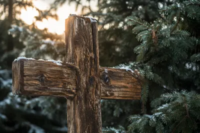 Rugged Wooden Cross Among Evergreen Branches