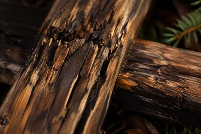 Rugged Wooden Cross Texture Close Up