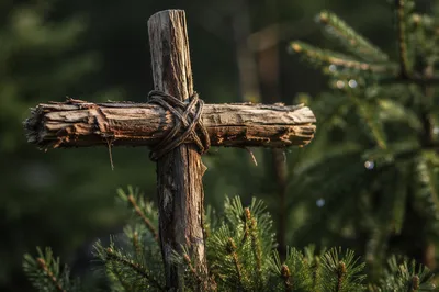 Rugged Cedar Cross in Evergreen Dawn