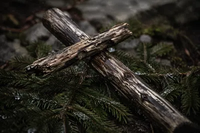 Weathered Wooden Cross Among Evergreen Branches