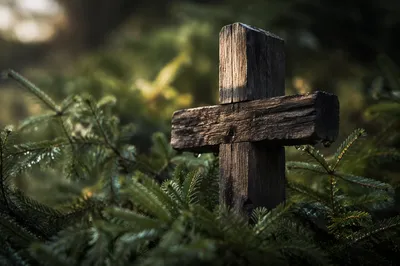 Rugged Wooden Cross in Evergreen Close Up