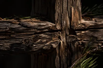 Rugged Wooden Cross Evergreen Macro Texture