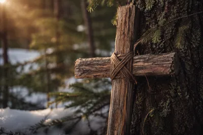 Rugged Wooden Cross Against Evergreen Trunk