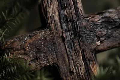 Rugged Wooden Cross Macro Texture