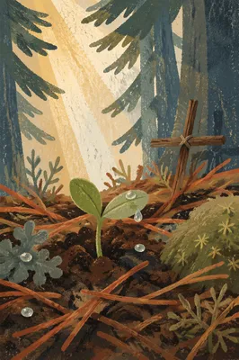 Seedling of Hope in Evergreen Forest