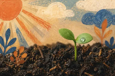 Seedling Emerging from Dark Soil