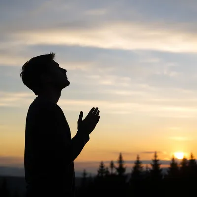 Praying Silhouette at Evergreen Sunset