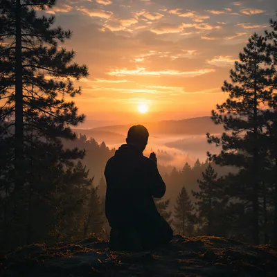 Praying Silhouette Among Evergreens at Sunset