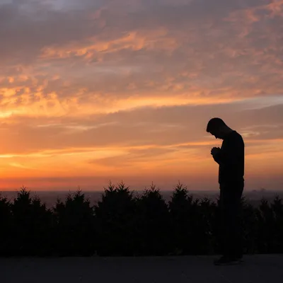 Silhouetted Prayer Beside Evergreens at Sunset