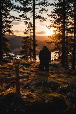 Silhouette Praying Among Evergreens at Sunset