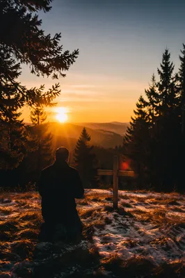 Praying Silhouette at Evergreen Sunset