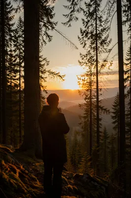 Silhouetted Prayer Among Evergreens at Sunset