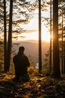 Silhouetted Prayer Among Sunset Evergreens
