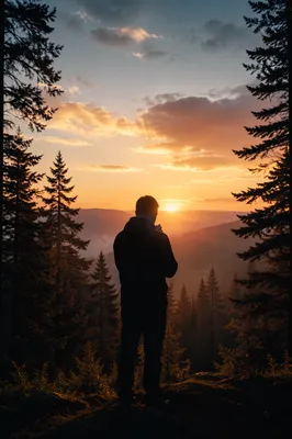 Silhouette Prayer Among Pines at Sunset