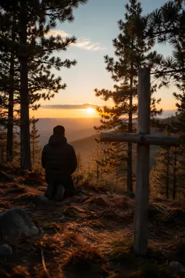 Silhouetted Prayer at Sunset Among Evergreens