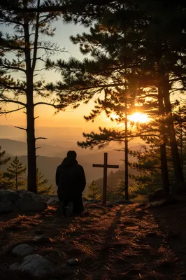 Silhouetted Prayer at Evergreen Sunset