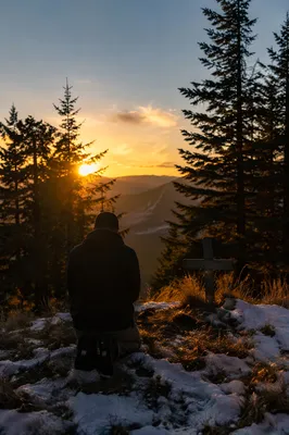 Silhouetted Prayer Among Evergreens at Sunset