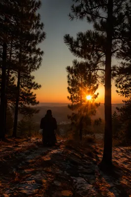 Silhouetted Prayer Among Evergreens at Sunset