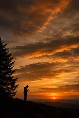 Silhouette Praying Beneath Evergreen Sunset Sky