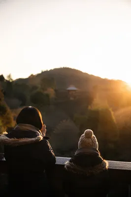 Silhouetted Prayer at Winter Evergreen Sunset