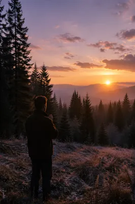 Silhouetted Prayer at Evergreen Sunset