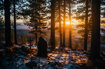 Silhouetted Prayer at Evergreen Sunset