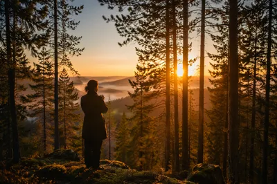 Silhouetted Prayer Among Evergreens at Sunset