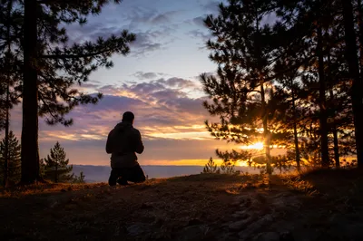Silhouette Praying at Evergreen Sunset
