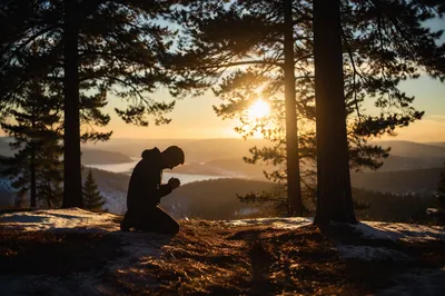 Silhouetted Prayer Beneath Evergreen Sunset
