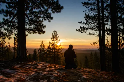 Silhouetted Prayer Among Evergreens at Sunset