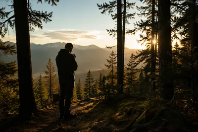 Silhouetted Prayer in Evergreen Sunset