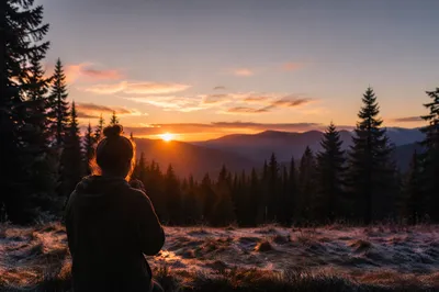 Silhouetted Prayer Beside Evergreen Forest at Sunset