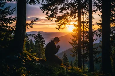 Silhouette Praying Beneath Evergreen Sunset
